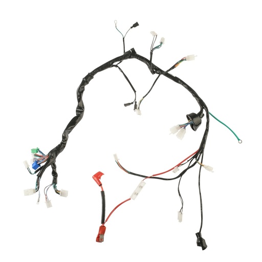 [F06050236] ARNES PRINCIPAL