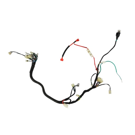 [F06050240] ARNES PRINCIPAL