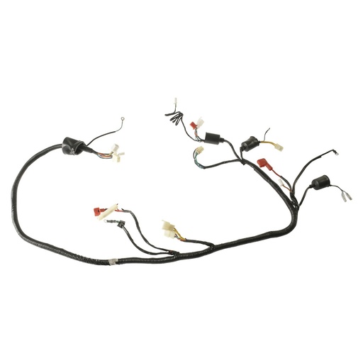 [F06050244] ARNES PRINCIPAL