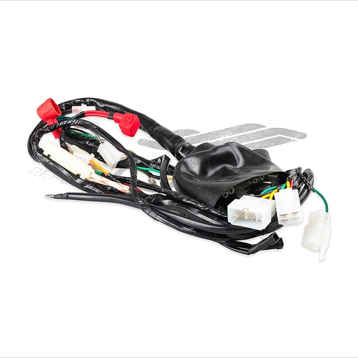 [F06050245] ARNES PRINCIPAL