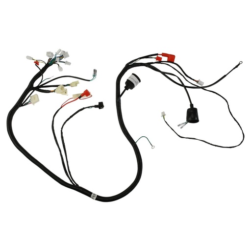 [F06050249] ARNES PRINCIPAL