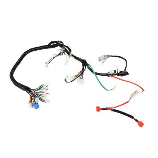 [F06050253] ARNES PRINCIPAL