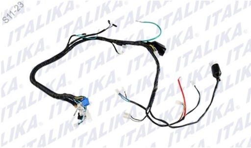 [F06050265] ARNES PRINCIPAL