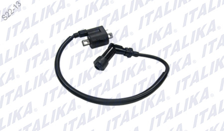 [F06060023] BOBINA DE IGNICION