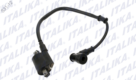 [F06060030] BOBINA DE ENCNEDIDO