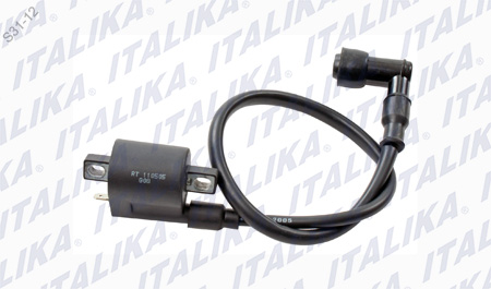 [F06060042] BOBINA DE IGNICION