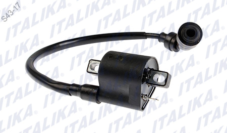 [F06060078] BOBINA IGNICION