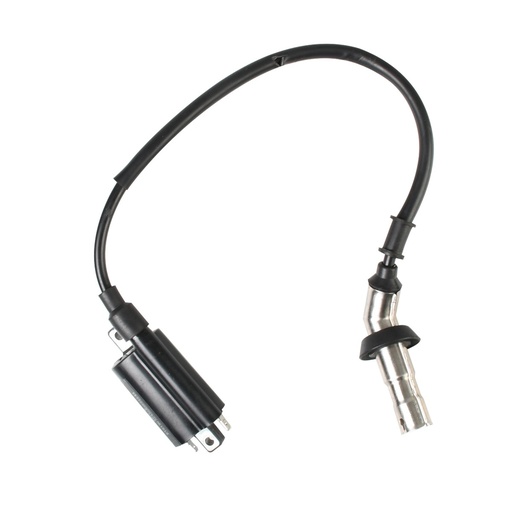 [F06060082] BOBINA IGNICION