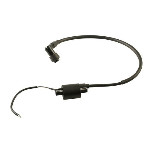 [F06060090] BOBINA IGNICION