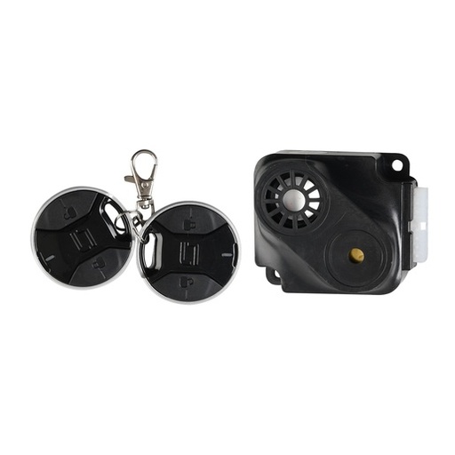 [F06070047] ALARMA
