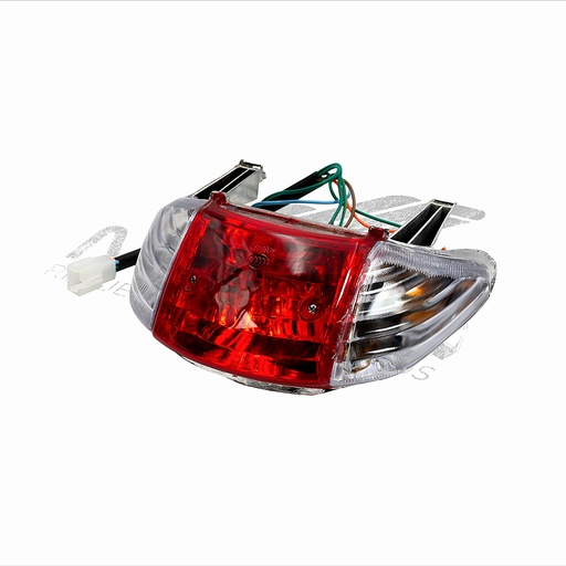 [F09030005] CALAVERA TRASERA