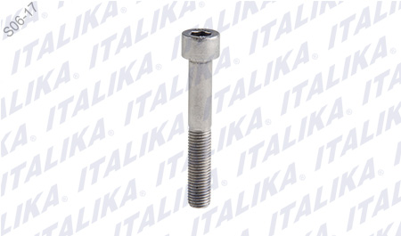 [F10040179] TORNILLO M10X65