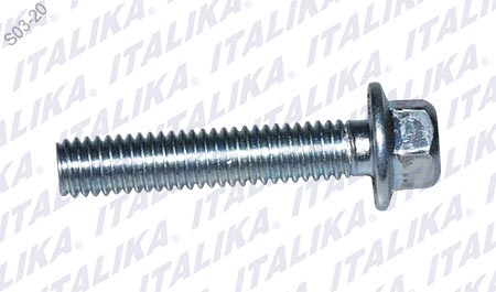 [F10040235] TORNILLO M6X30