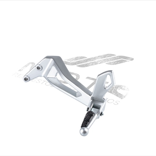 [F11010380] CONJUNTO POSAPIE TRAS IZQ