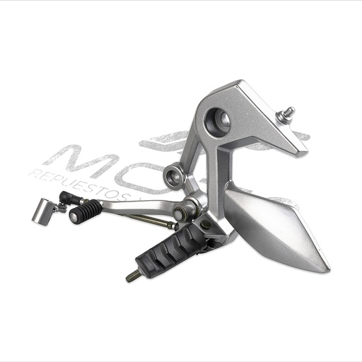 [F11010425] CONJUNTO POSAPIE DEL IZQ