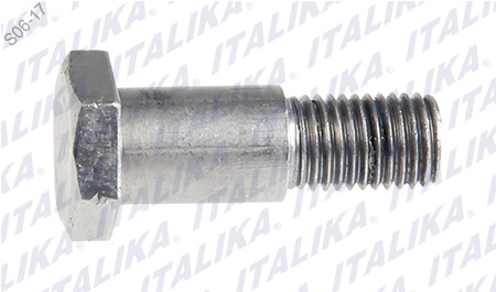 [F11020226] TORNILLO PARADOR